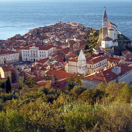 Sea View Istrian Countryside Apartment - Rota Dragonja Exteriör bild